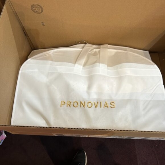 PRONOVIAS LANSBURY DRESS - Picture 15 of 15